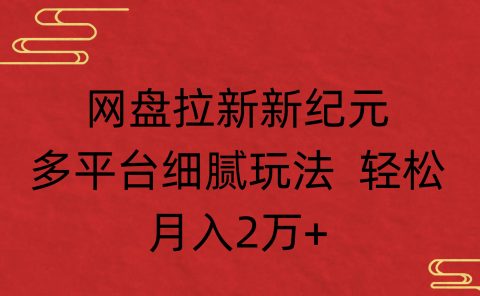 网盘拉新新纪元多平台细腻玩法 轻松月入2万+