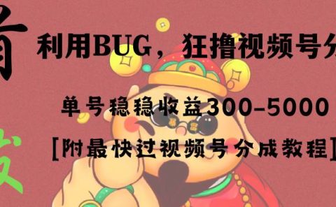 全网独家首发，视频号BUG，超短期项目，单号每日净收益300-5000！