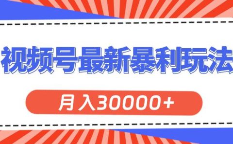 视频号最新暴利玩法，轻松月入30000+