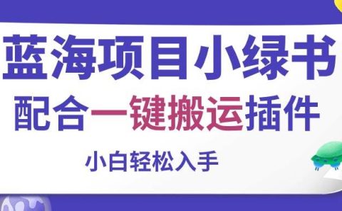 蓝海项目小绿书，配合一键搬运插件，小白轻松入手
