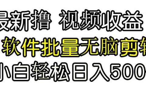 发视频撸收益，软件无脑批量剪辑，第一天发第二天就有钱