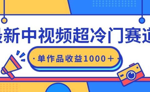 最新中视频超冷门赛道，轻松过原创，单条视频收益1000＋