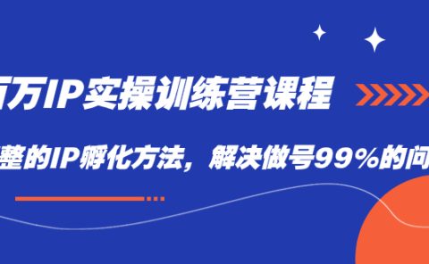 百万IP实战训练营课程，完整的IP孵化方法，解决做号99%的问题