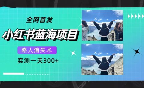 全网首发，小红书蓝海项目，路人消失术，实测一天300+（教程+工具）