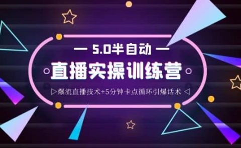 蚂蚁·5.0半自动直播2345打法，半自动爆流直播技术+5分钟卡点循环引爆话术