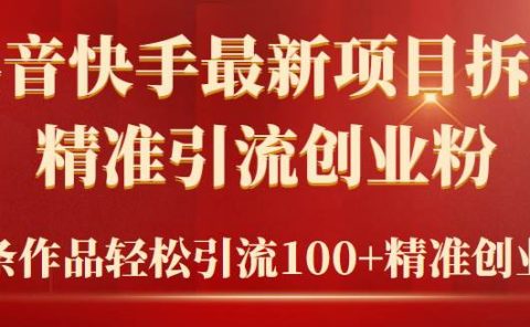 2024年抖音快手最新项目拆解视频引流创业粉,一天轻松引流精准创业粉100+