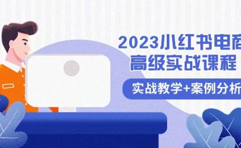 2023小红书-电商高级实战课程,实战教学+案例分析(38节课)