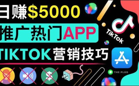 无需露脸，无需录音，无需投资，TIKTOK上传短视频，最高日入5000美元