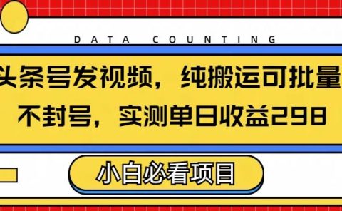头条发视频，纯搬运可批量，不封号玩法实测单日收益单号298