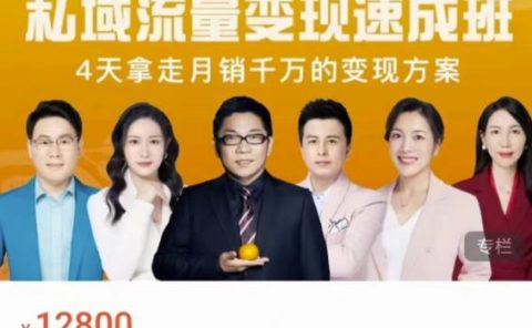 桔子会·私域流量变现速成班，4天拿走月销千万的变现方案 价值12800元
