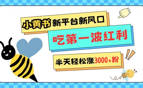 网易版小红书重磅来袭，新平台新风口，管理宽松，半天轻松涨3000粉，第一波红利等你来吃