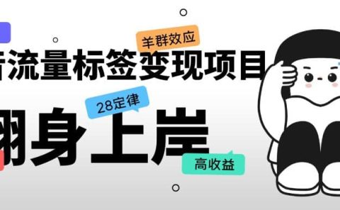 抖音流量标签变现项目，抖音创业粉轻松转化，单价高收益简单