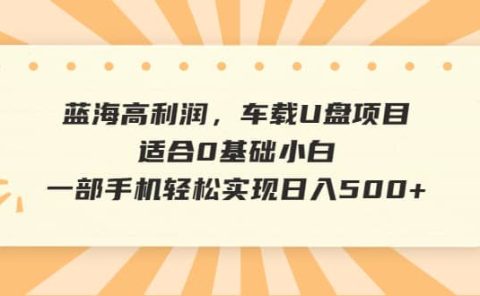 蓝海高利润，车载U盘项目，适合0基础小白，一部手机轻松实现日入500+
