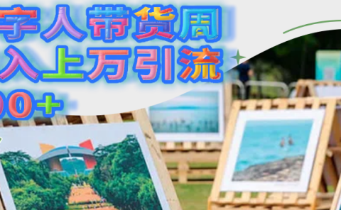 数字人带货周收入上万引流200+