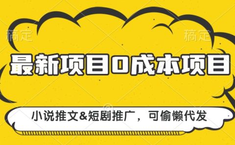 最新项目 0成本项目，小说推文短剧推广，可偷懒代发