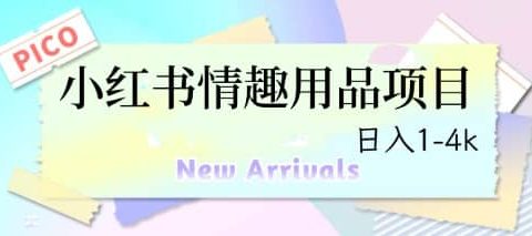 最新小红书情趣用品项目，日入1-4k