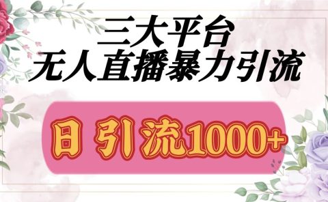 抖音,快手,视频号全平台通用,无人直播引流法,利用图片,模板,整套话术挂机全天支持矩阵操作,无限设备多开,超暴力引流,1000+高质量精准创业粉