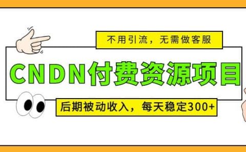 CNDN付费资源项目，不用引流，无需做客服，后期被动收入