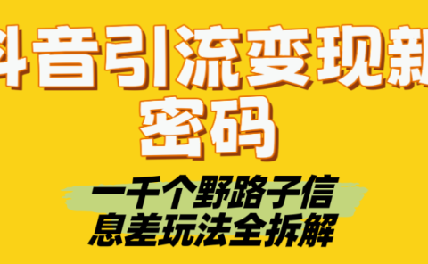 抖音引流变现新密码！一千个野路子信息差玩法全拆解
