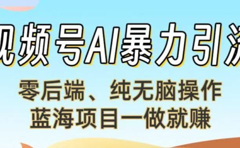 视频号AI暴力引流：零后端、纯无脑操作，蓝海项目一做就赚！【下面那个链接失效了】