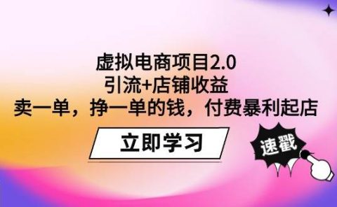 虚拟电商项目2.0：引流+店铺收益  卖一单，挣一单的钱，付费暴利起店