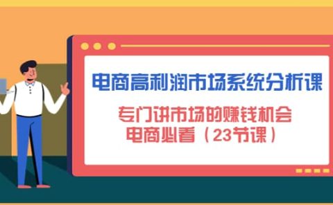 电商高利润市场系统分析课:电商必看(23节课)