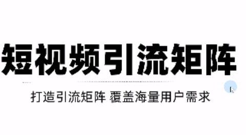 短视频引流矩阵打造，SEO+二剪裂变，效果超级好！【视频教程】