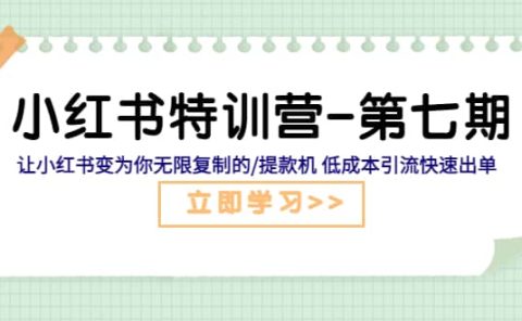 小红书特训营-第七期 让小红书变为你无限复制的/提款机 低成本引流快速出单