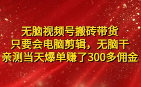 无脑视频号搬砖带货，只要会电脑剪辑，无脑干