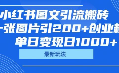 小红书图文引流搬砖，一张图片引200+创业粉，单日变现日1000+