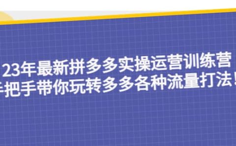 23年最新拼多多实操运营训练营：手把手带你玩转多多各种流量打法！