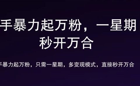 7 天万粉，吸金变现，日入斗金