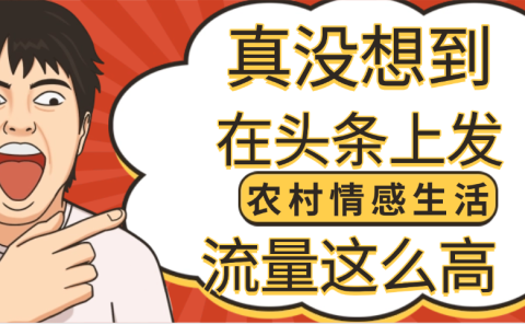 【万万没想到】在头条做《农村情感生活》二创小故事，收益暴增，昨天收益1300+