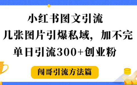 小红书图文引流,几张图片引爆私域加不完,单日引流300+创业粉