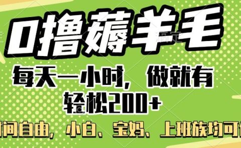 0撸薅羊毛项目，每天一小时，做就有轻松200+，宝妈、小白上班族均可做