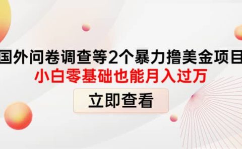 国外问卷调查等2个暴力撸美元项目,小白零基础也能月入过万