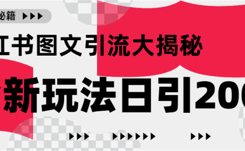 小红书图文引流，只需一张图片即可撬动百万流量，日引200+创业粉