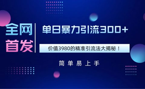 全网首发，价值3980单日暴力引流300+的精准引流法大揭秘！