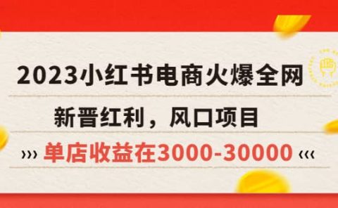 2023小红书电商火爆全网,新晋红利,风口项目,单店收益在3000-30000