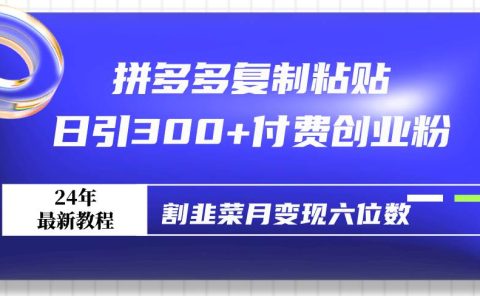 拼多多复制粘贴日引300+付费创业粉，割韭菜月变现六位数最新教程！