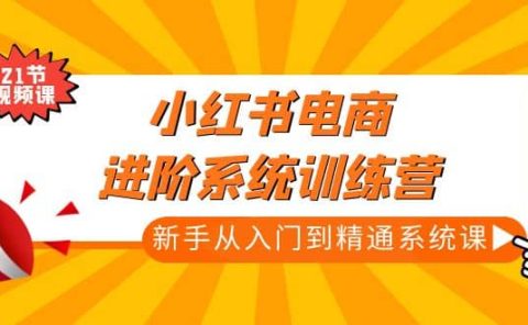 小红书电商进阶系统训练营:新手从入门到精通系统课(21节视频课)