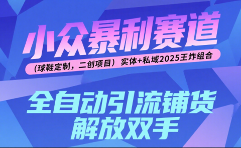 楠—小众暴利赛道(球鞋定制,二创项目)实体+私域2025王炸组合