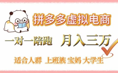 拼多多虚拟电商，一对一陪跑，月入3万，0囤货，轻资产，不发货