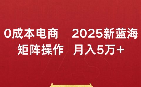 0成本电商2025新蓝海矩阵操作 月入5万+
