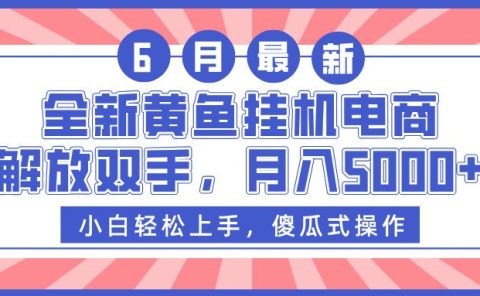 全新黄鱼挂机电商，解放双手，月入5000+