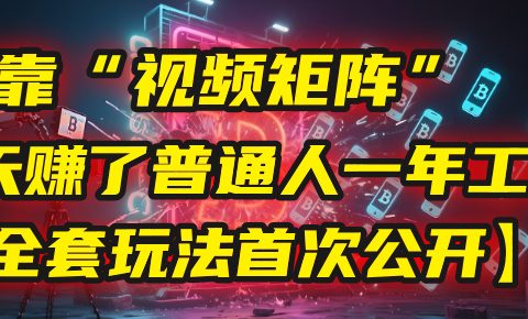 我靠“视频矩阵”,3天赚了普通人一年工资!【全套玩法首次公开】