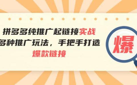 拼多多纯推广起链接实战:多种推广玩法,手把手打造爆款链接