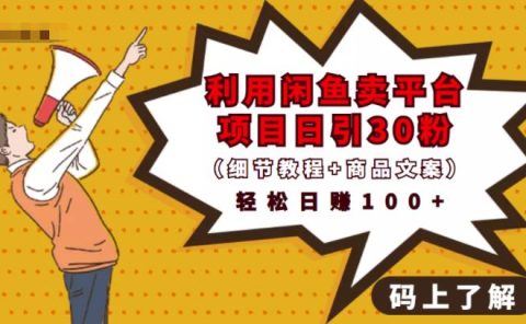 利用闲鱼卖平台项目课程资源日引流30+精准粉丝,轻松日赚100+,积累人脉可实现二次变现(细节教程+商品文案)
