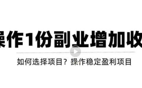 新手如何通过操作副业增加收入，从项目选择到玩法分享！【视频教程】