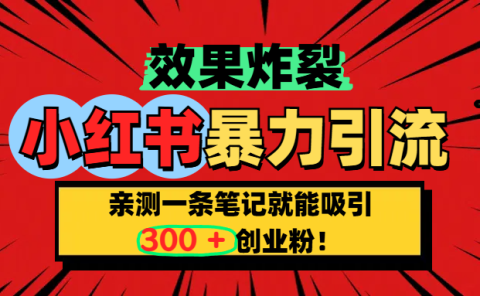 小红书炸裂玩法，亲测一条笔记就能吸引300+精准创业粉！